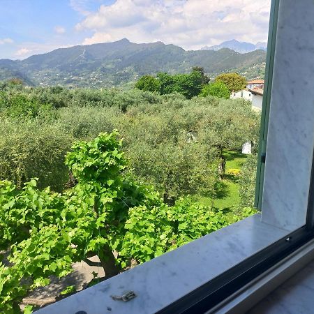 Bed and Breakfast La Madonnina Querceta Exterior foto