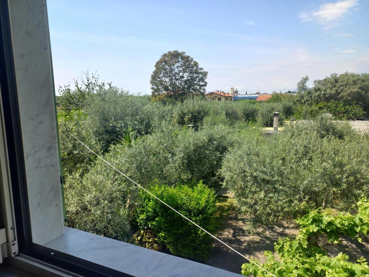 Bed and Breakfast La Madonnina Querceta Exterior foto